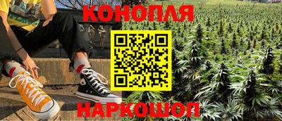 прущие грибы Аргун