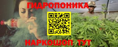 шишки Бийск