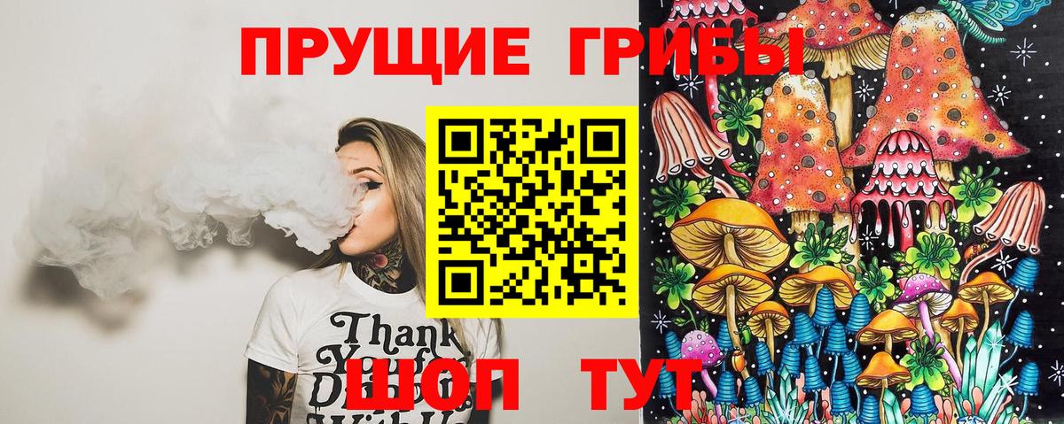 Галлюциногенные грибы Psilocybe Будённовск