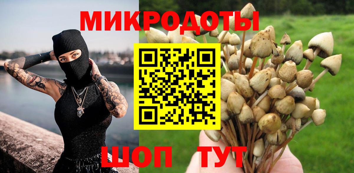 Галлюциногенные грибы мухоморы  даркнет сайт  Будённовск  Вход с VPN 