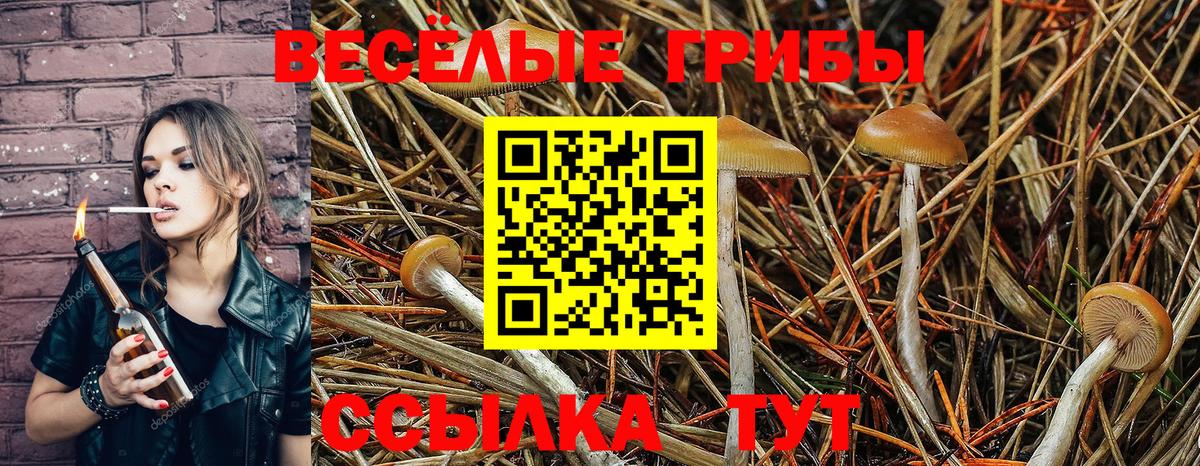 Псилоцибиновые грибы мухоморы Будённовск
